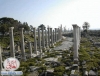 lebanon tyre2
