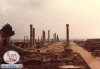 lebanon tyre4