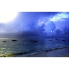 boats