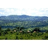 countryside