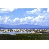 nakuru