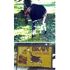 okapi