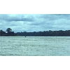 river
