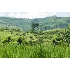 countryside
