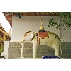 elephant statue doi suthep