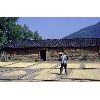 drying corn