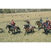 horse racing
