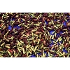 cloves