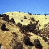 california-06