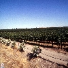 california-15