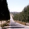 california-18