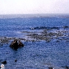 california-32
