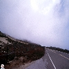 california-49