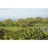 chocolatehills1