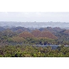 chocolatehills14