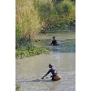 fishpond