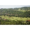golfcourse