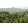 hills