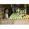mangogirl