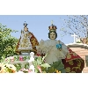 stnino4