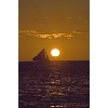 sunset12