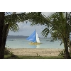 treeyacht
