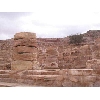 syria242