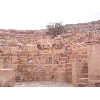 syria244