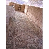 syria309