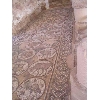 syria310
