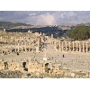 syria322