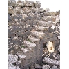 syria342