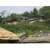 korea039