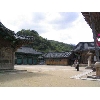 korea110