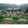 korea131