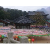 korea149