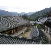 korea203