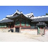 korea231