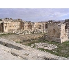 syria052