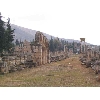 syria079